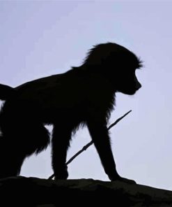 Baby Baboon Silhouette Diamond Painting