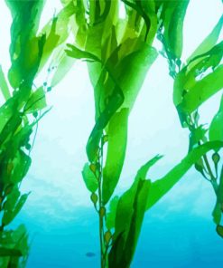 Giant Tropical Kelp Forest Diamond Painting