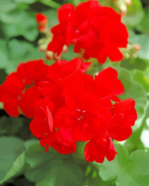 Red Geranium Diamond Painting