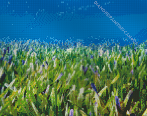 Seagrass plant diamond painting