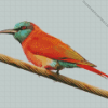 Southern Carmine Bee Eater On A Wire Diamond Painting