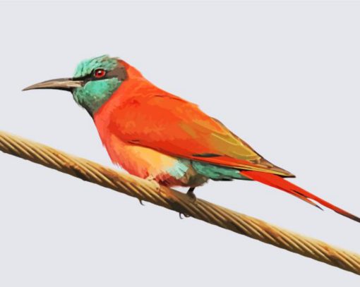 Southern Carmine Bee Eater On A Wire Diamond Painting