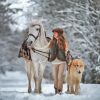 Little Girl With Horse And Dog Diamond Painting