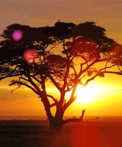 Sahara Tree At Sunset Diamond Painting