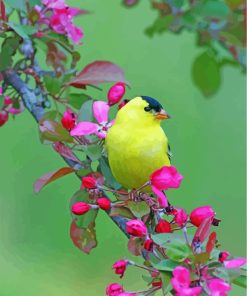 American Goldfinch Songbird Diamond Painting