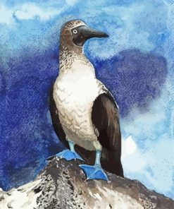 Blue Footed Booby Bird Art Diamond Painting