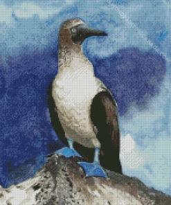 Blue Footed Booby Bird Art Diamond Painting