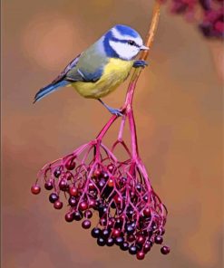 Bluetit On Elderberry Diamond Painting