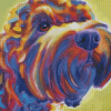 Colorful Cockapoo Diamond Painting