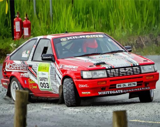 Donegal International Rally Race Diamond Painting