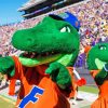 Florida Gators Football Mascots Diamond Painting