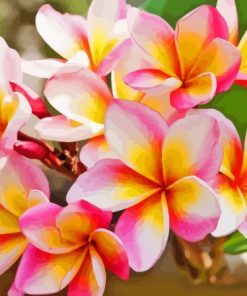 Frangipani Plumeria Flowers Diamond Painting