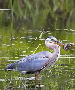 Great Blue Heron In Swamp Diamond Painting