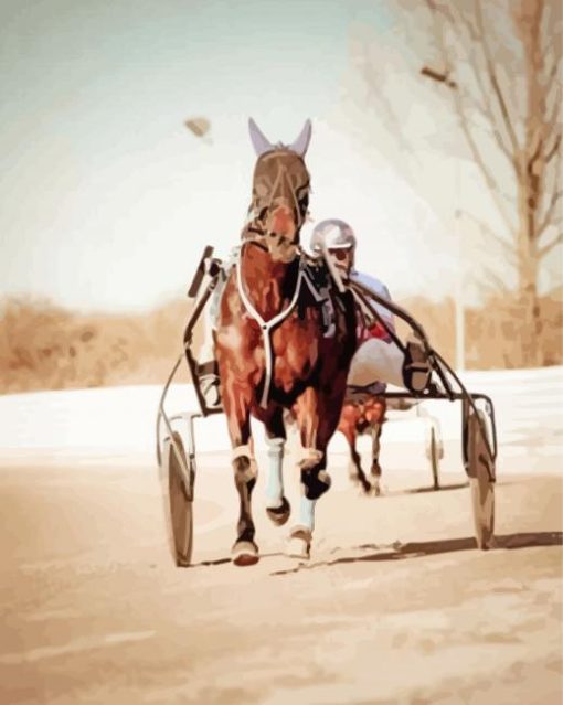 Harness Horse Diamond Painting