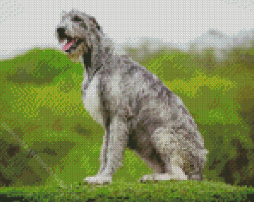 Irish Wolfhound Dog Diamond Painting