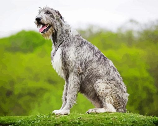 Irish Wolfhound Dog Diamond Painting