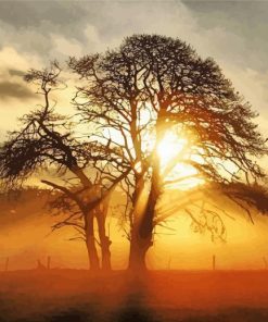 Misty Sunrise Behind The Tree Diamond Painting