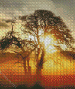 Misty Sunrise Behind The Tree Diamond Painting