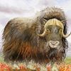 Musk Ox Art Diamond Painting