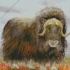 Musk Ox Art Diamond Painting