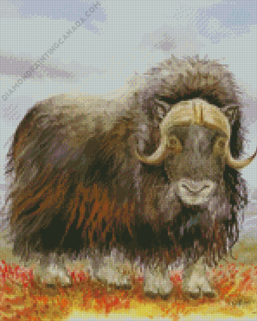 Musk Ox Art Diamond Painting