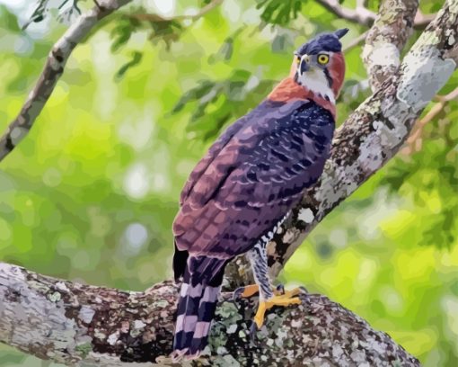 Ornate Hawk Eagle On Tree Diamond Painting