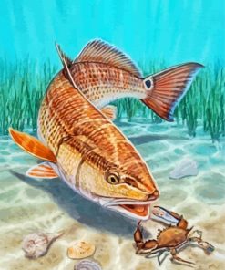 Red Drum Fish Art Diamond Painting