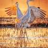 Sandhill Cranes At Sunrise Diamond Painting