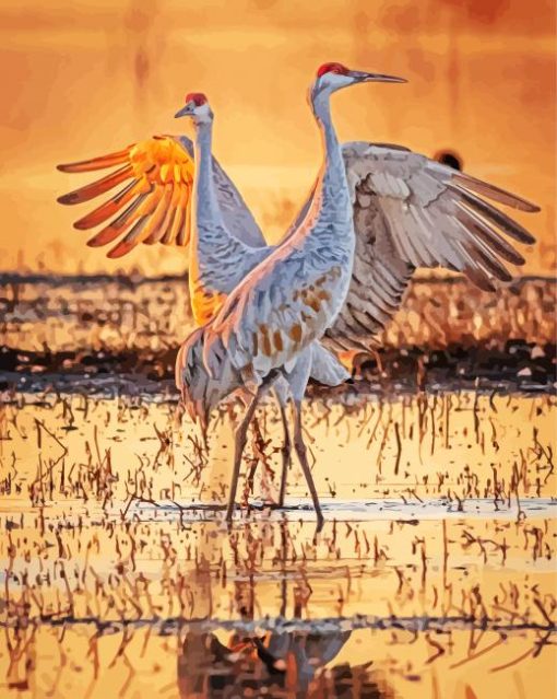 Sandhill Cranes At Sunrise Diamond Painting