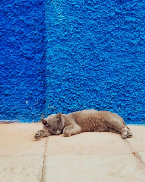 Sleeping Cat In Street Diamond Painting