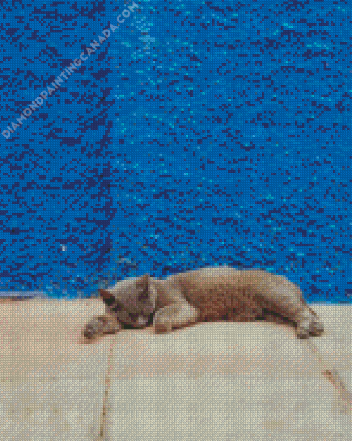 Sleeping Cat In Street Diamond Painting