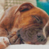 Sleepy Brindle Pitbull Diamond Painting