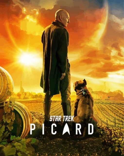 Star Trek Picard Movie Poster Diamond Painting