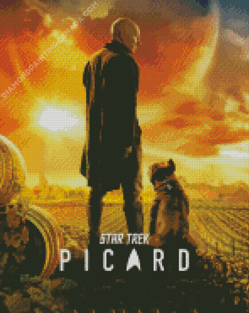 Star Trek Picard Movie Poster Diamond Painting