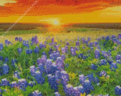 Texas Bluebonnets Sunset Landscape Diamond Painting