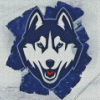 Uconn Huskies Art Diamond Painting