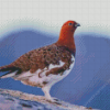 Willow Ptarmigan Diamond Painting