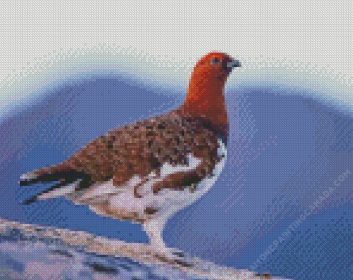 Willow Ptarmigan Diamond Painting