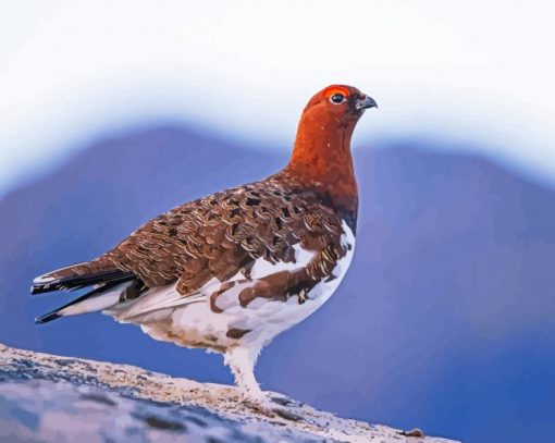 Willow Ptarmigan Diamond Painting