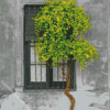 Window Tree Diamond Painting