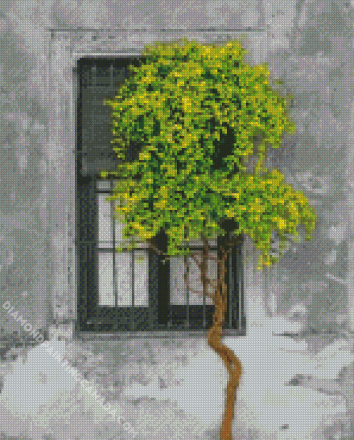 Window Tree Diamond Painting