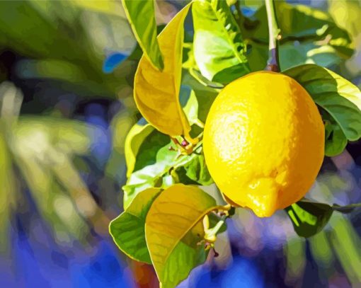 Yellow Lemon Tree Diamond Painting