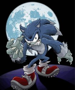 Aesthetic Sonic Werewolf Art Diamond Painting