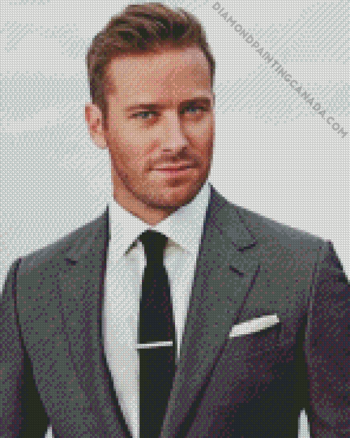 Armie Hammer Actor Diamond Painting