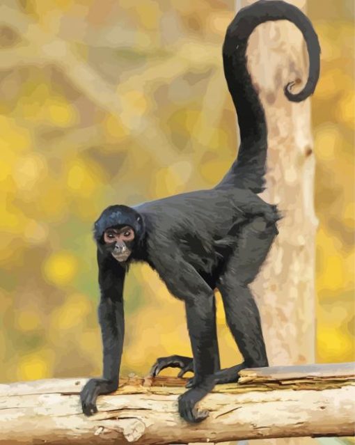 Black Spider Monkey Tail Diamond Painting