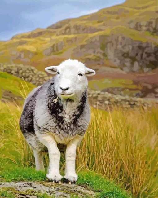 Cute Herdwick Sheep Diamond Painting