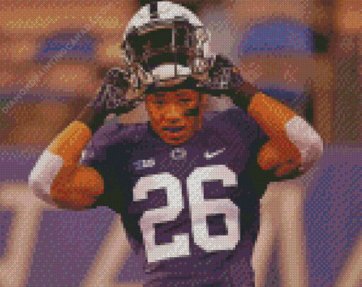 Danielle Hunter Diamond Painting