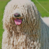 Komondor Dog Diamond Painting