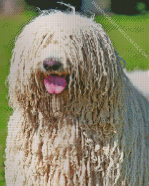 Komondor Dog Diamond Painting