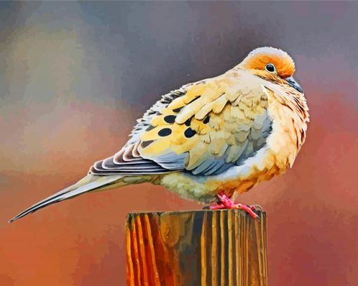 Mourning Dove Diamond Painting